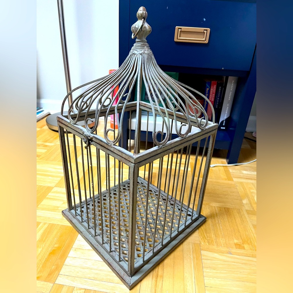 Antique Brass Birdcage 🕊️
